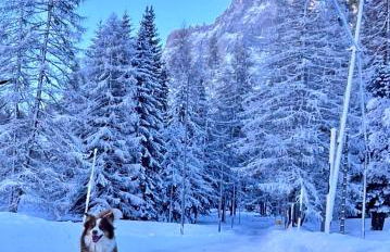 Casetta dipinta Fattoria dei fiori - Photo 19