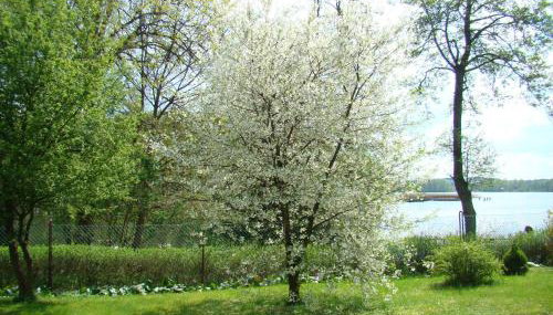 Letnisko Zielony Zakątek - Foto 4, Garden