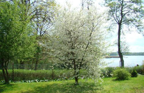 Letnisko Zielony Zakątek - Foto 4