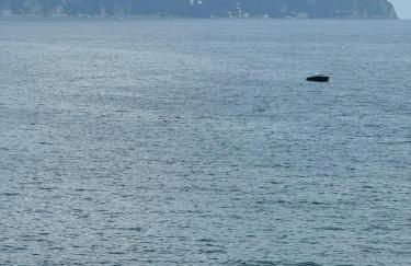 A quinto A un passo dal mare - Photo 25