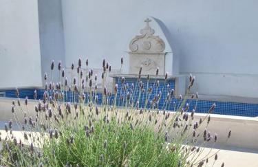 Páteo dos Oliveira - Casa dos Senhores - Foto 9