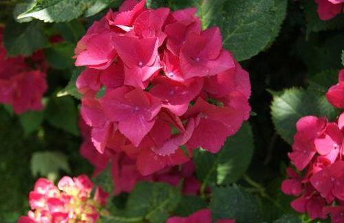 "Am Griebnitzsee" 14482 Potsdam-Babelsberg - Foto 12