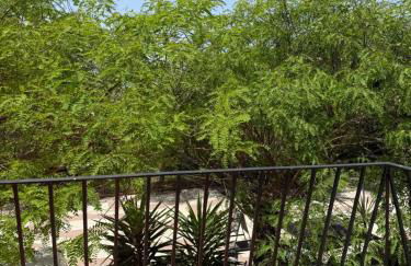 Estudio 2 Café Bernal - Foto 7