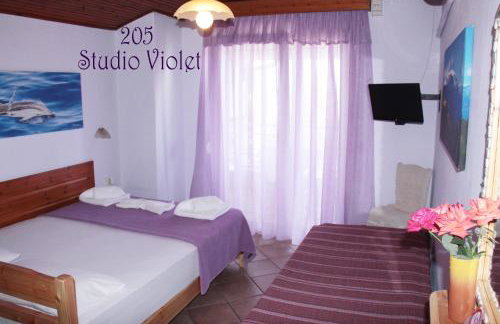 Fasoli Studios - Foto 22