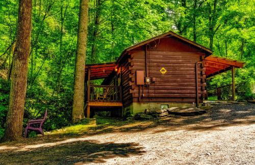 Panther Creek Cabins - Foto 39