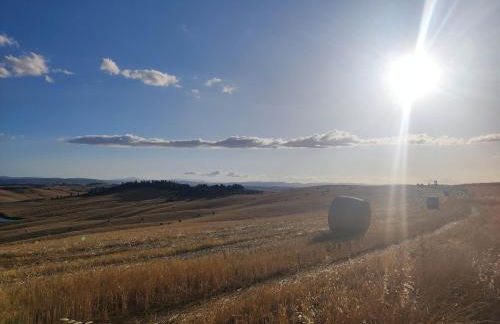 Unique Experience Crete Senesi HILLS - Foto 6