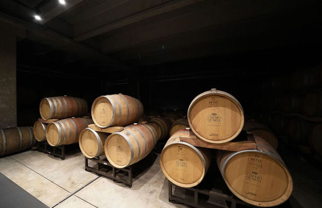 Emera Wine Resort Claudio Quarta - Foto 36