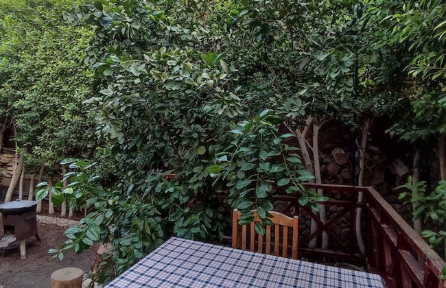 Villa Rayan - Foto 34