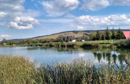 Zacisze nad sanem - Foto 8