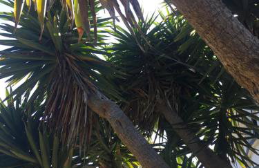 Little Treasure in Shanklin Old Village up to 25 percent off ferry - Foto 26