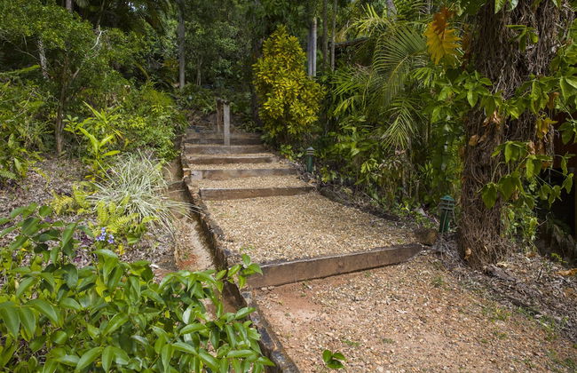 Milkwood Lodge - Photo 10