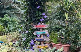 Chácara Recanto da Paz - Photo 11