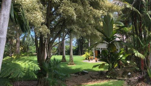 Royal Palm Cottage Hawaii - Foto 5, Garden, Garden view