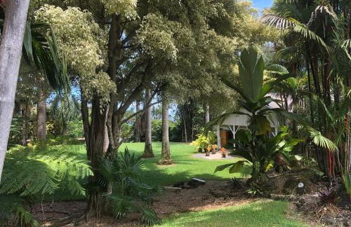 Royal Palm Cottage Hawaii - Foto 5