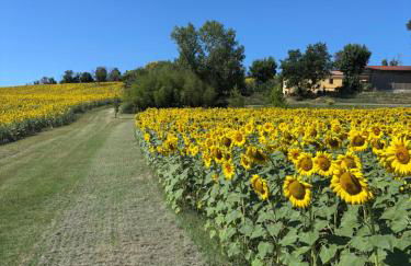 Agriturismo Fattoria Del Colle By Enrico - Foto 29