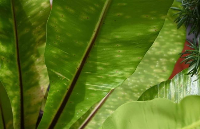 Nalú Hammam Thalassoterapia - Foto 37