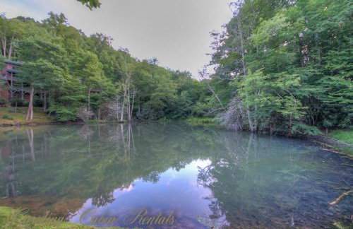 Martins Nest - Foto 30