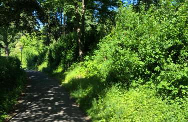 Apartment-47 Fulda - Photo 68