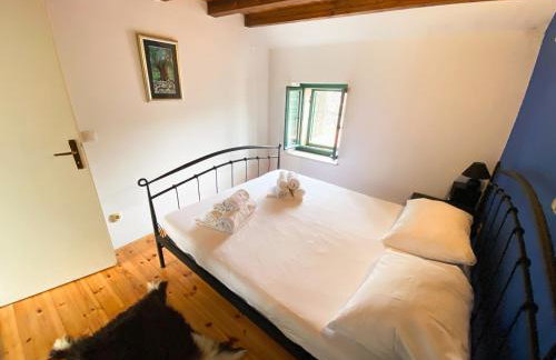 Apartman Robi - Photo 15