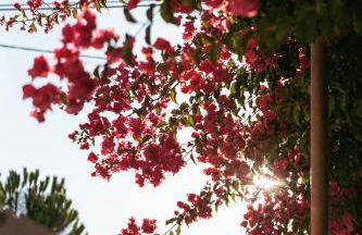 Charneca Caparica Casa Rey by Hopstays - Foto 75