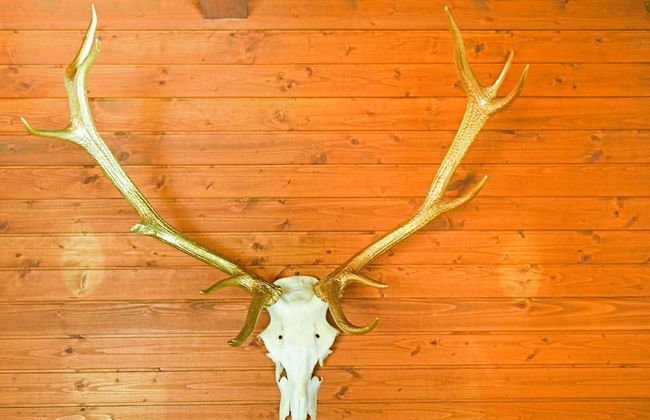 Cozy Chalet in Molln With Garden - Foto 16