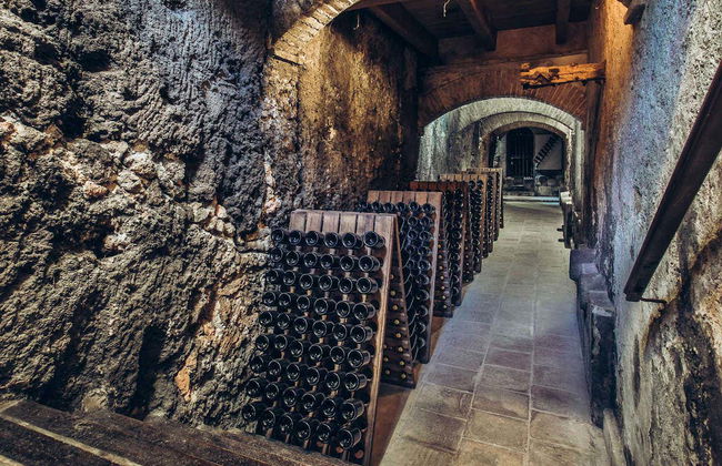 Visita à adega Pago de Tharsys - Photo 5