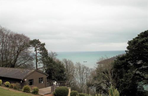 Kingswear Park Club - Foto 21