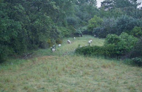 Monte do Pego - Foto 22