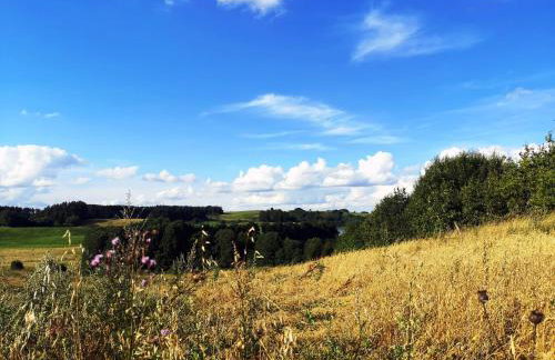 Bezkresne- Domy w Sidorach - Foto 51
