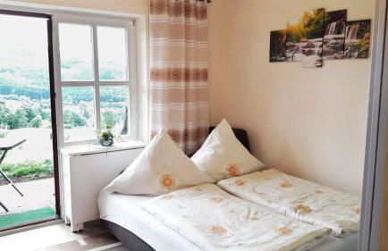 Appartement Harlachberg-Blick-2 - Foto 3