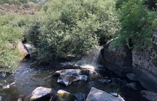 Casa do Pardal - Foto 30