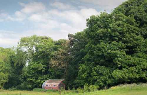 Architect-Designed Rural Cabin - Year Round Retreat - Foto 16