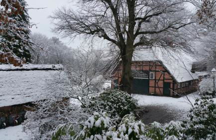 Tüschenbeker Mühle - Foto 41