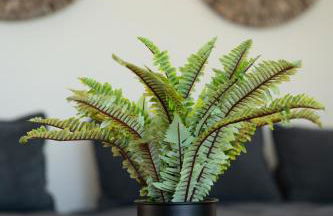 Eros sea view residences Mytilini - Photo 16