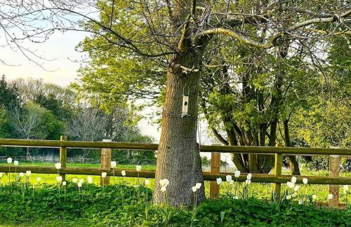 Cherry Tree Cottage - Foto 42