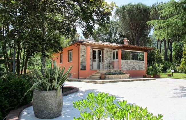 Verde Versilia - Foto 38