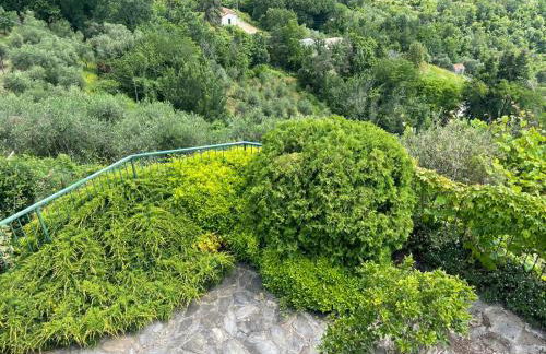 Corner of Paradise Moneglia - Foto 72