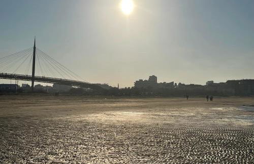 Le Ortensie in centro e vicino al mare - Foto 41