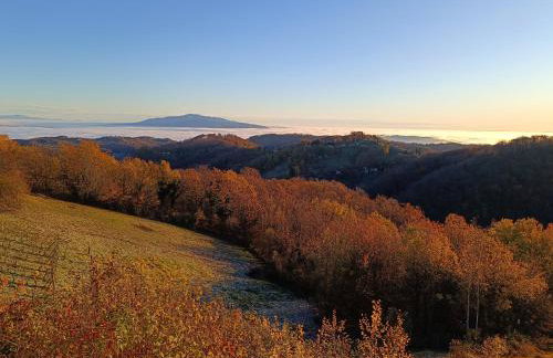 Sweet Sky apartman - Foto 12