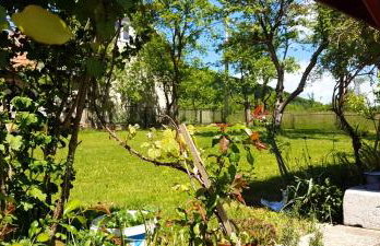 Apartmani Fenestra Tesla i Faust - Foto 35