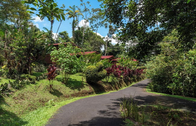 Villas Josipek - Photo 37