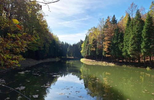 Rondini apartment - Foto 12