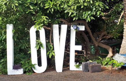 Finca La Principal - Foto 85