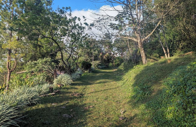 Campos de Oro Wilderness Lodge - Photo 79