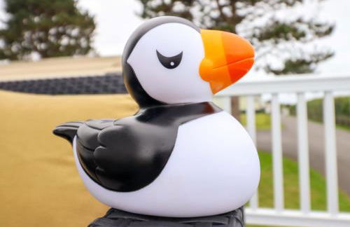 8 Puffin Way - Photo 27