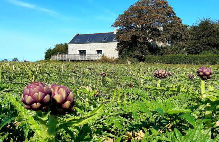 L'écurie Kerdoel - Foto 64