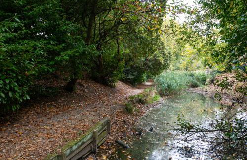 Amos Lodge Deluxe Accommodation - Photo 64