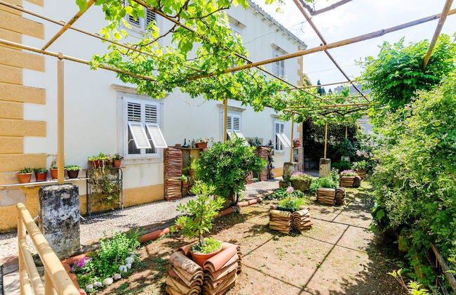 Guest House Ivana - Foto 24