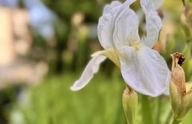 Verdeacqua my villa in the pinewood - Foto 49