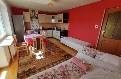 Apartament Pod Leszczyną - Foto 18